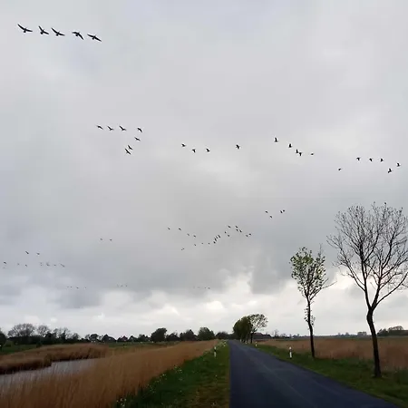 펜션 Fischerhaus Am Deich 45233