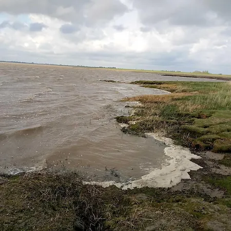 Fischerhaus Am Deich 45233 *