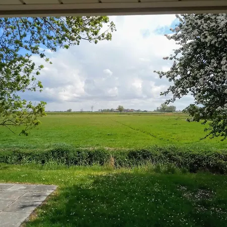 Fischerhaus Am Deich 45233 펜션 *