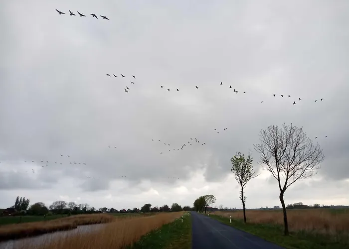 Сasa de vacaciones Fischerhaus Am Deich 45233