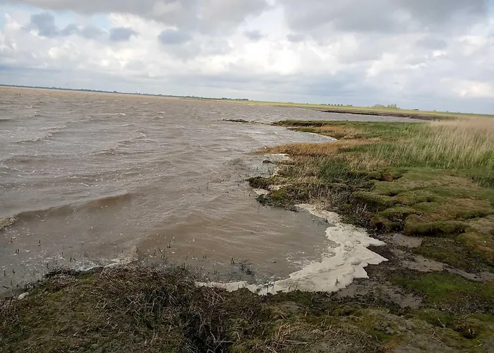 Fischerhaus Am Deich 45233 *